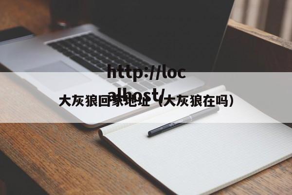 大灰狼回家地址（大灰狼在吗）